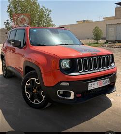 جيب رينيجيد